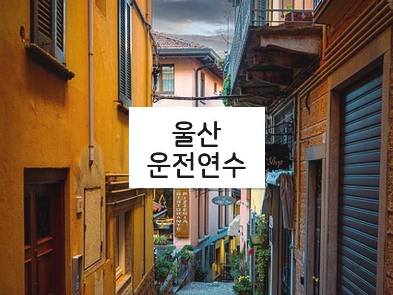 울산운전연수 후기