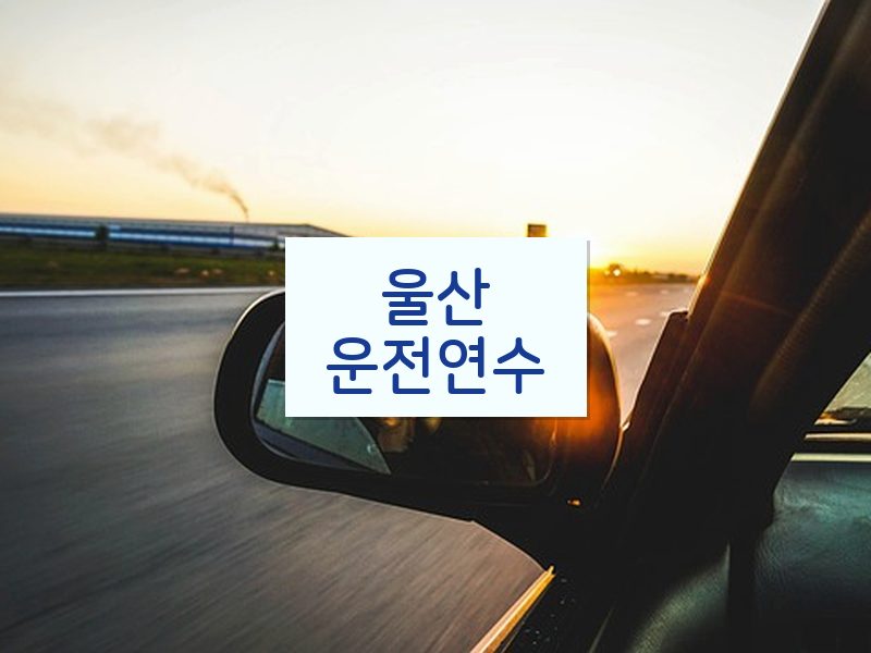 울산운전연수 후기