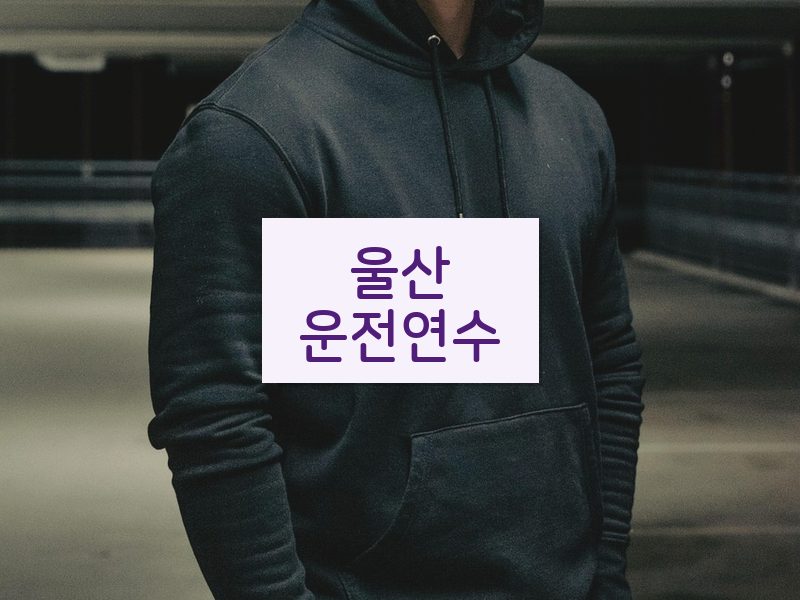 울산운전연수 후기