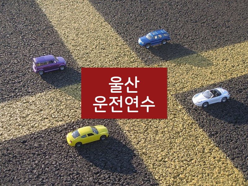 울산운전연수 후기