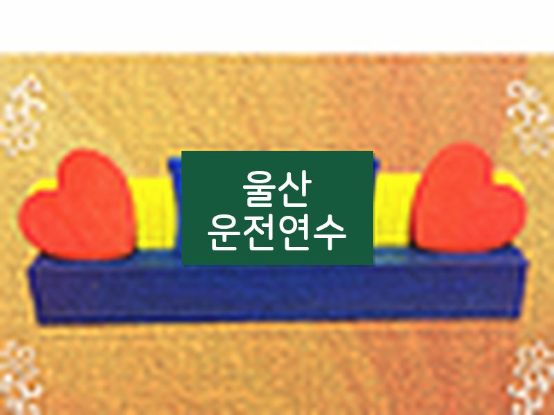 울산운전연수 후기