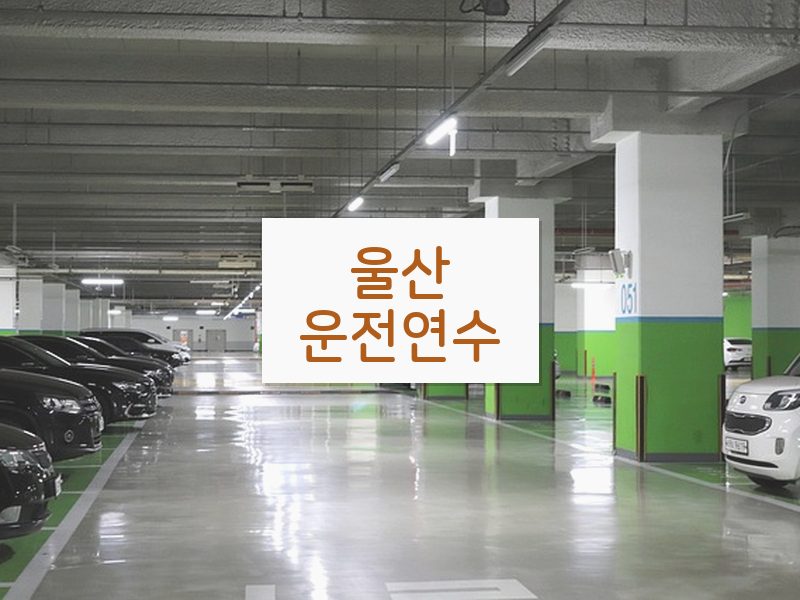 울산운전연수 후기