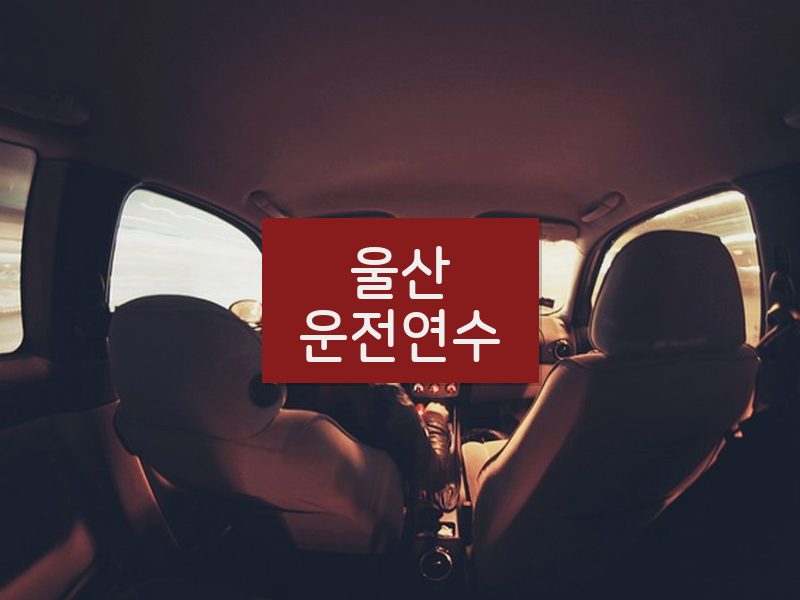 울산운전연수 후기