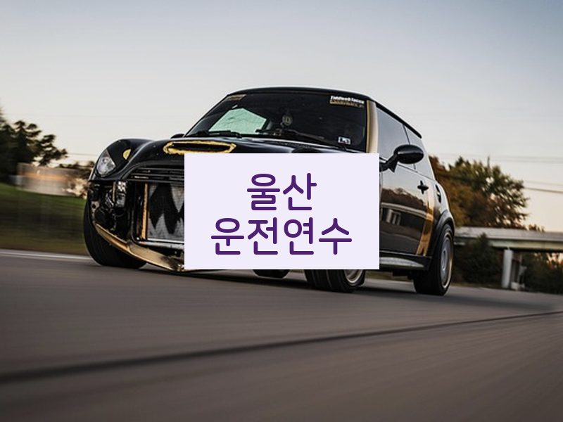 울산운전연수 후기