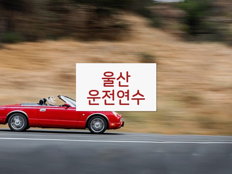 울산운전연수 후기