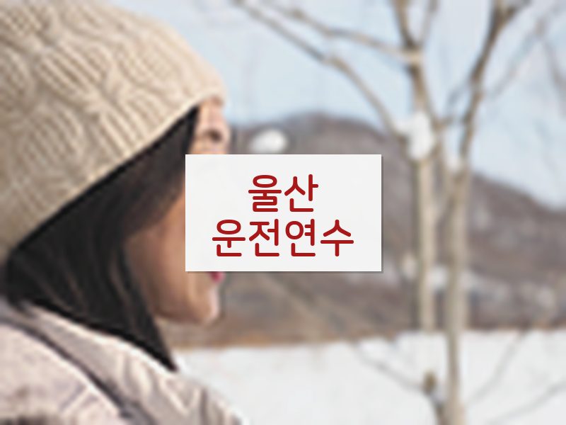 울산운전연수 후기