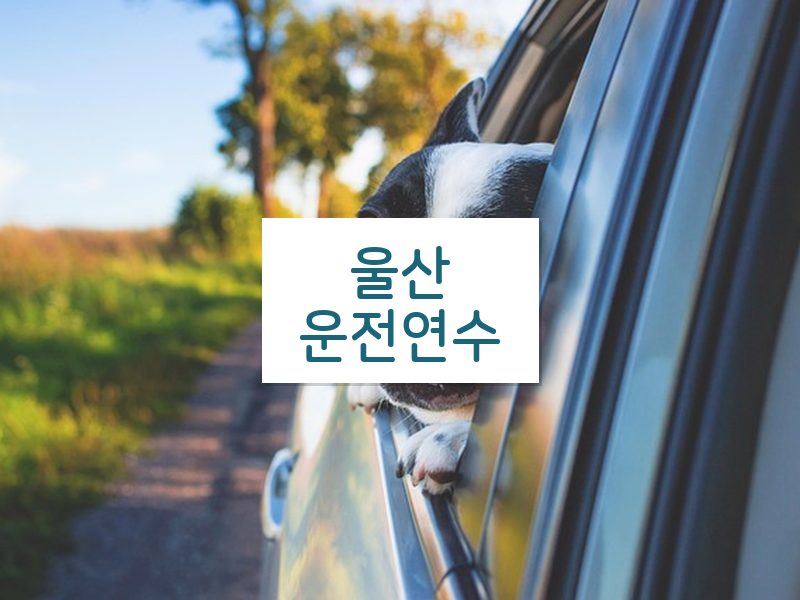 울산운전연수 후기