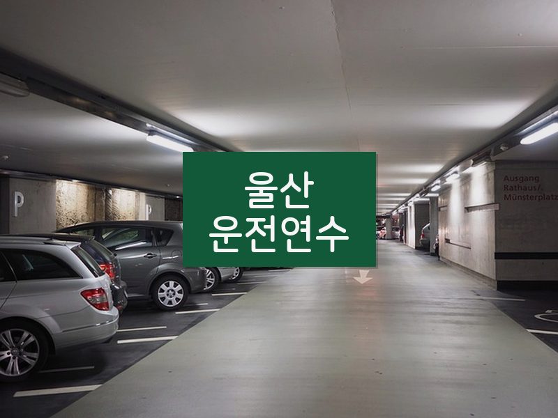 울산운전연수 후기