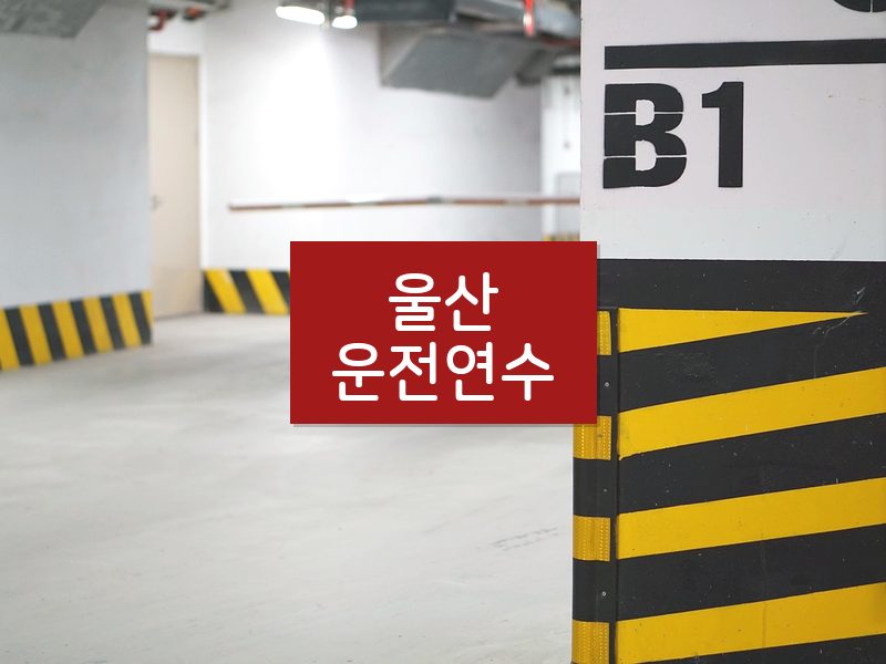 울산운전연수 후기