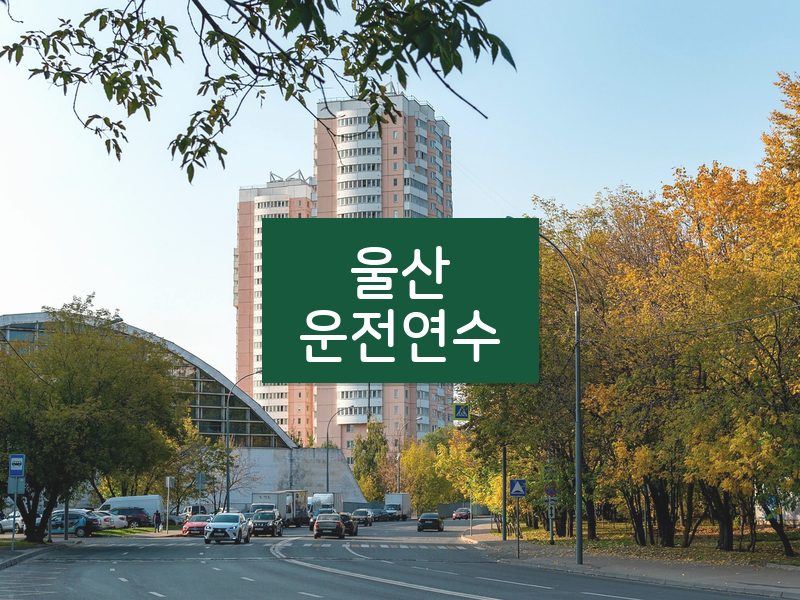 울산운전연수 후기