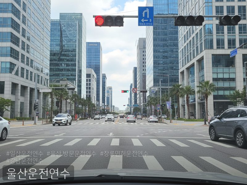 울산운전연수 후기