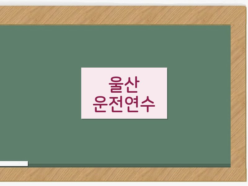 울산운전연수 후기