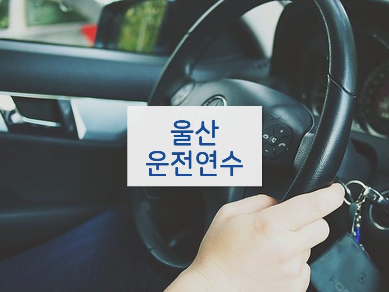 울산운전연수 후기