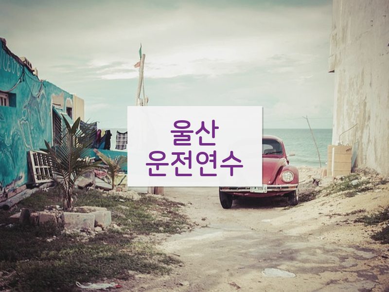 울산운전연수 후기