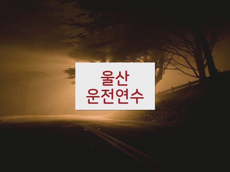 울산운전연수 후기