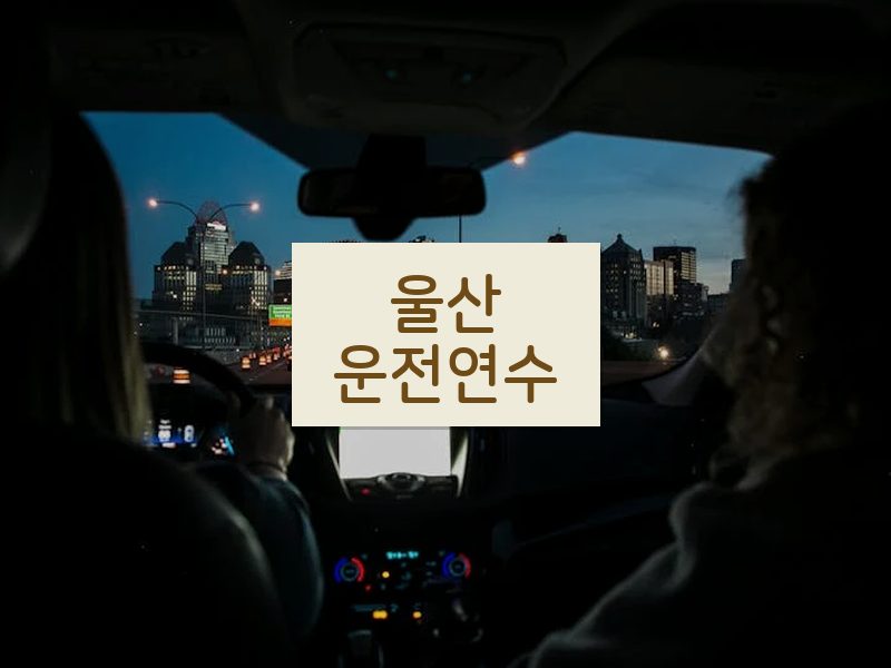 울산운전연수 후기