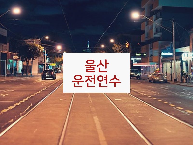 울산운전연수 후기