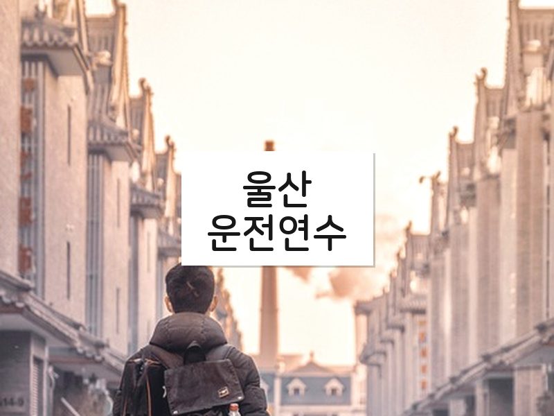 울산운전연수 후기