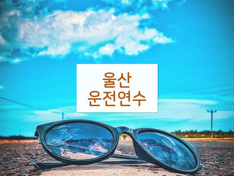 울산운전연수 후기