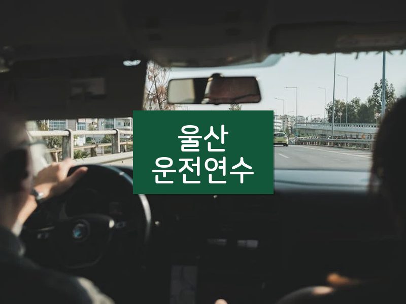 울산운전연수 후기