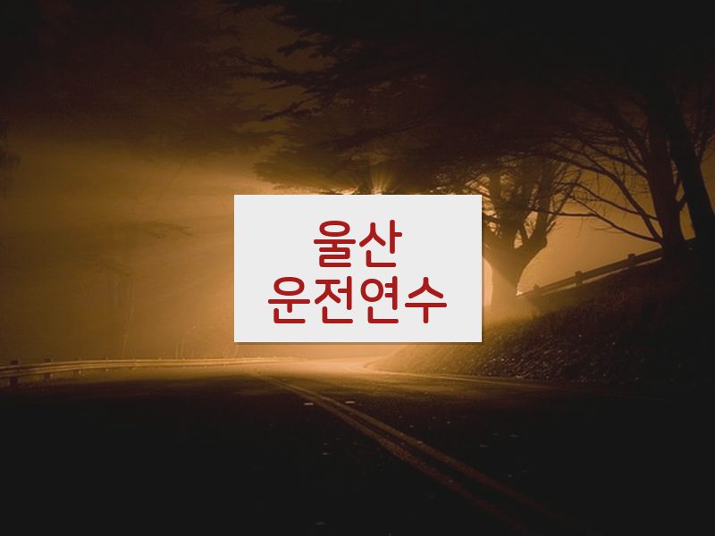 울산운전연수 후기