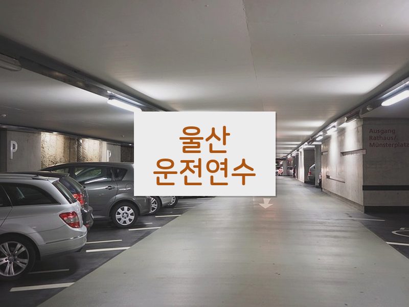 울산운전연수 후기