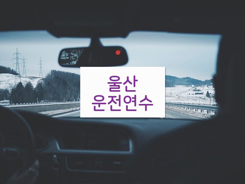울산운전연수 후기