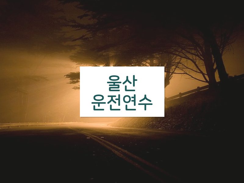 울산운전연수 후기