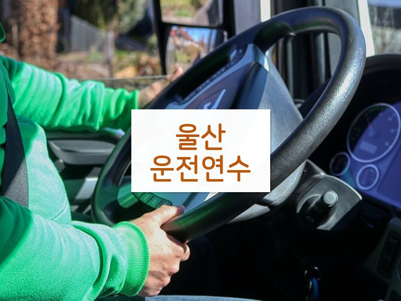울산운전연수 후기