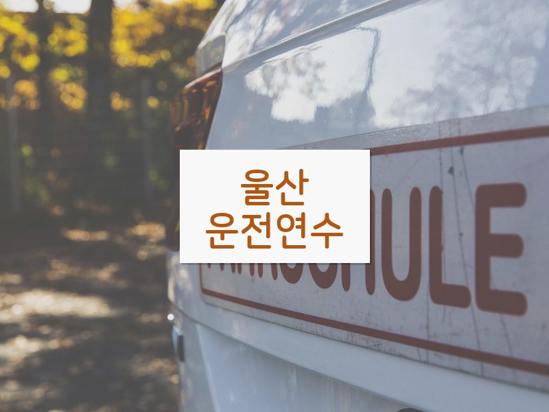 울산운전연수 후기