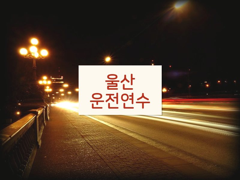 울산운전연수 후기