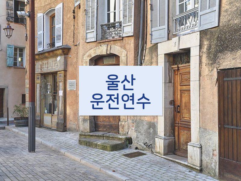 울산운전연수 후기