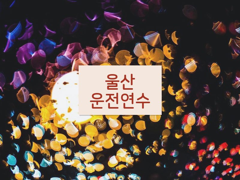 울산운전연수 후기