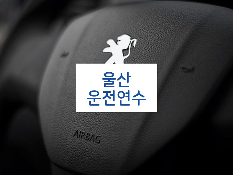 울산운전연수 후기