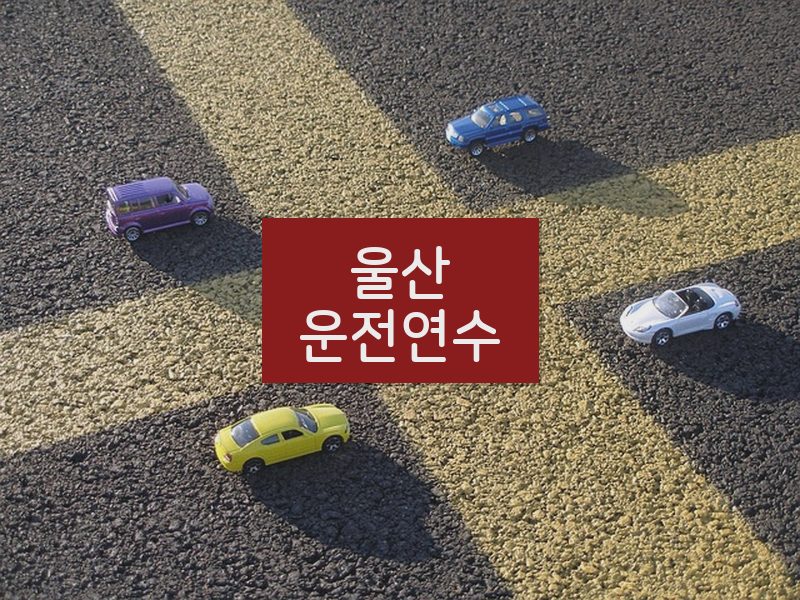 울산운전연수 후기