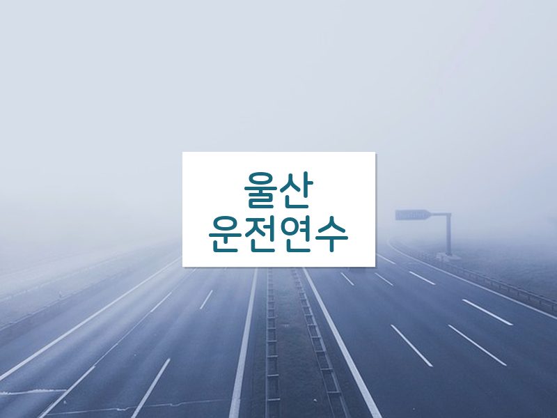울산운전연수 후기