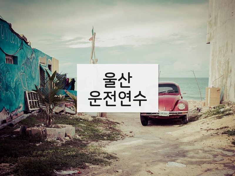 울산운전연수 후기