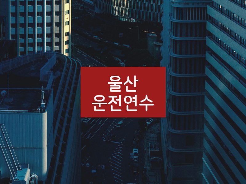 울산운전연수 후기