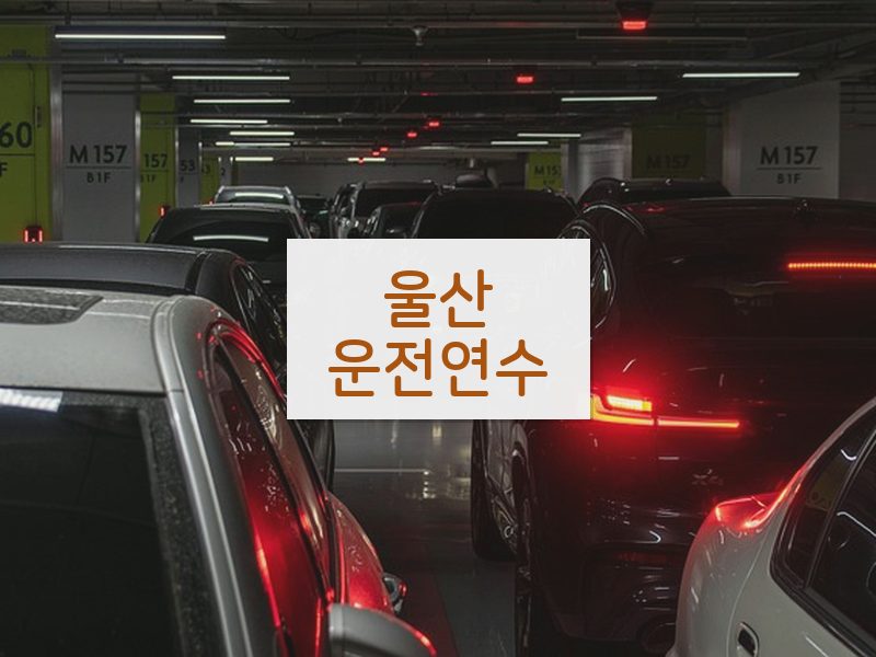 울산운전연수 후기