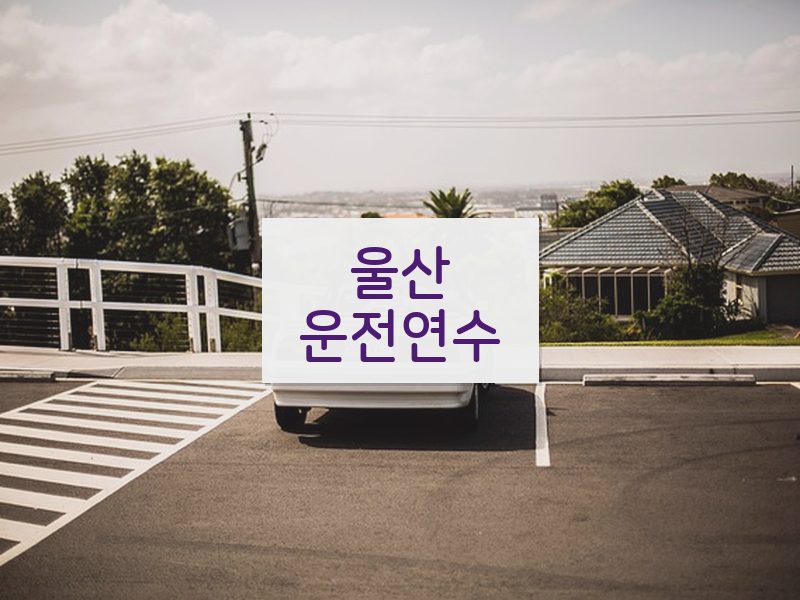 울산운전연수 후기