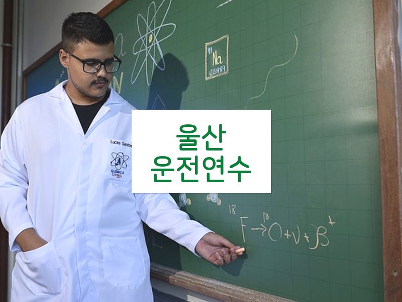 울산운전연수 후기