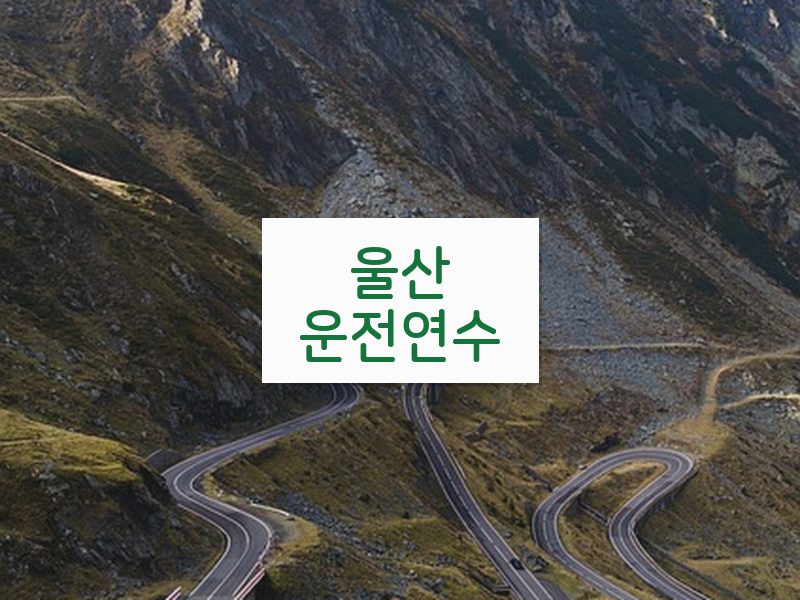 울산운전연수 후기