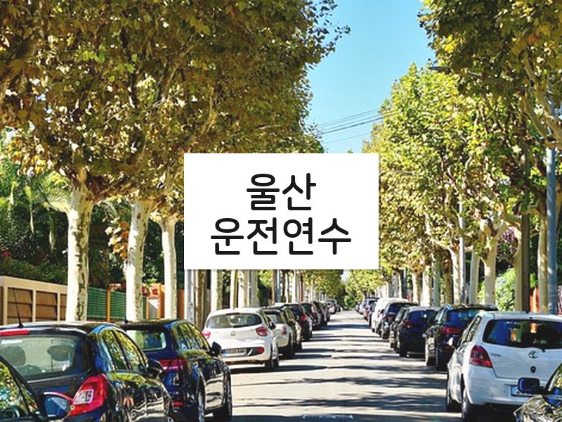 울산운전연수 후기