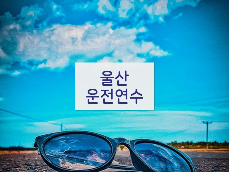 울산운전연수 후기