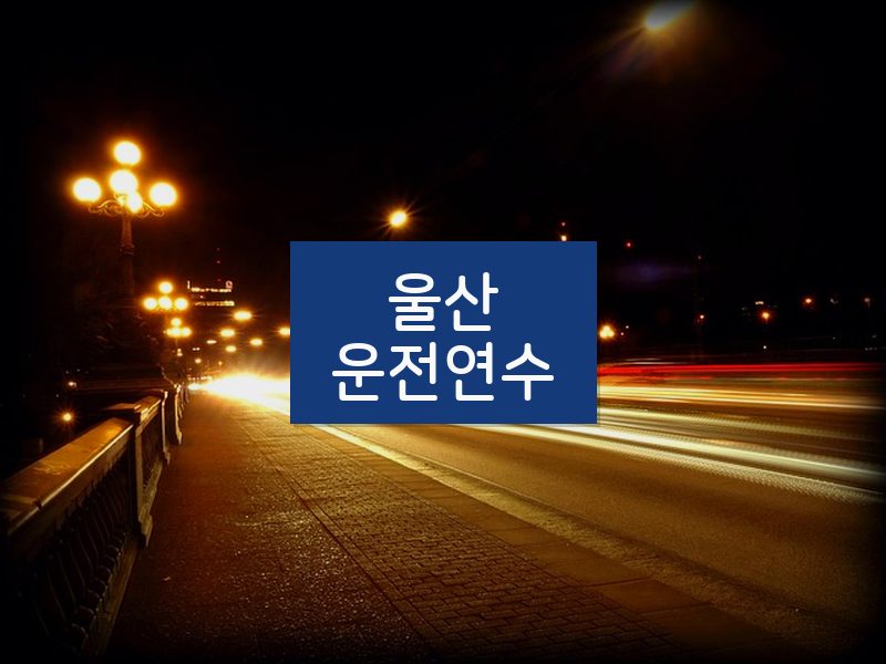 울산운전연수 후기