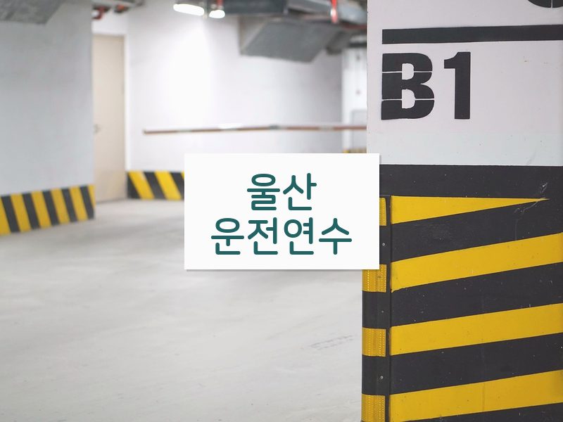 울산운전연수 후기