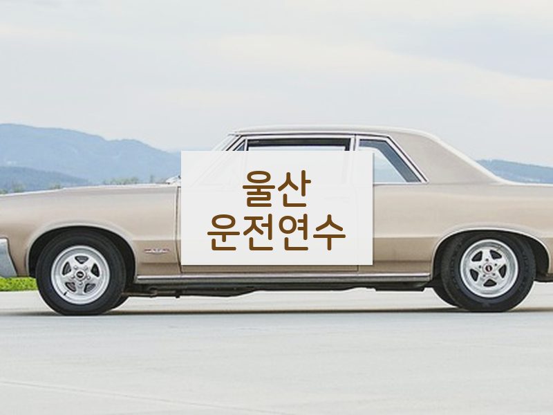 울산운전연수 후기