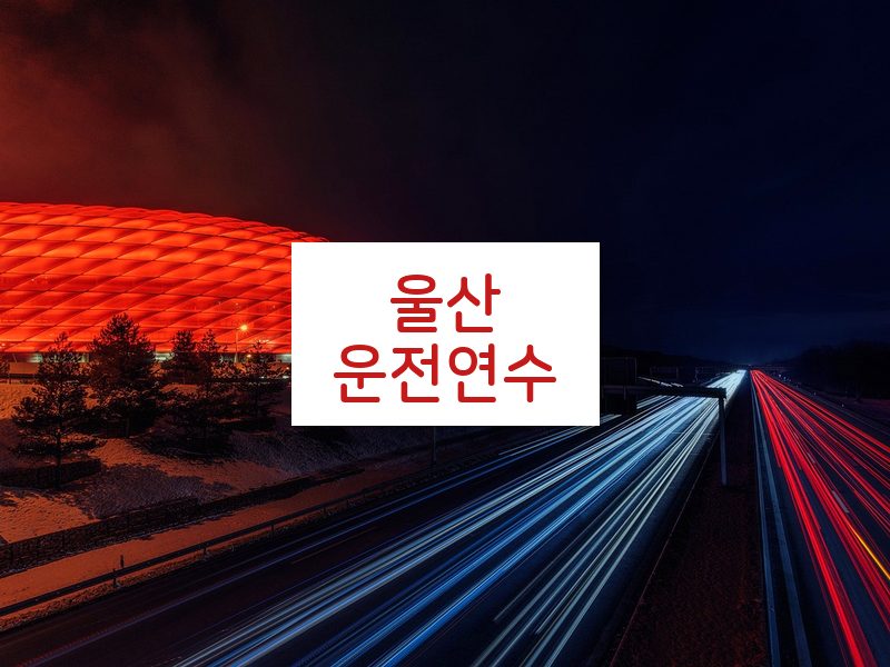 울산운전연수 후기