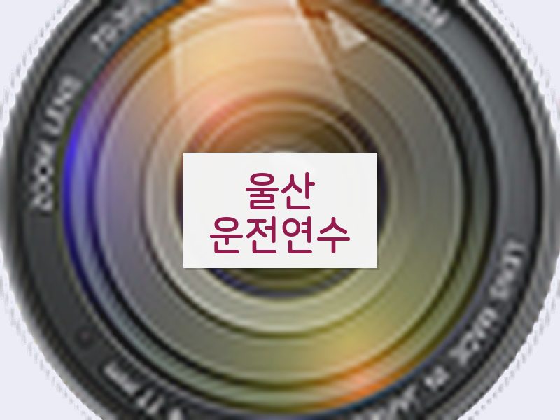 울산운전연수 후기