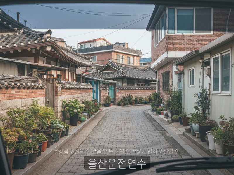 울산운전연수 후기